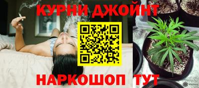 дживик Будённовск